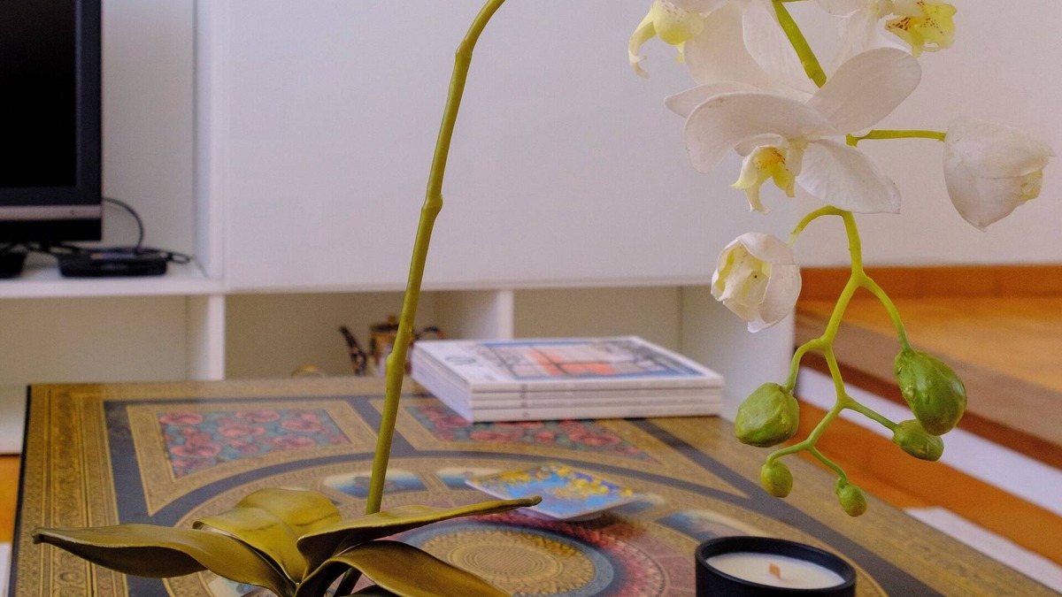 Padru Apartment | 3 bedroom apartment in sardinia