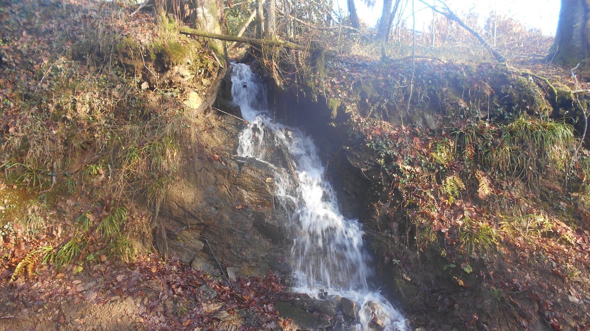 Beyssac House | 3 bedroom beautiful annex, 3 minutes from Orgnac-sur-Vezere .