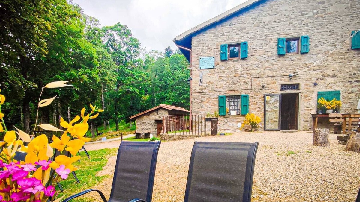 Subbiano Cabin | 3 Bedroom Cabin in Subbiano