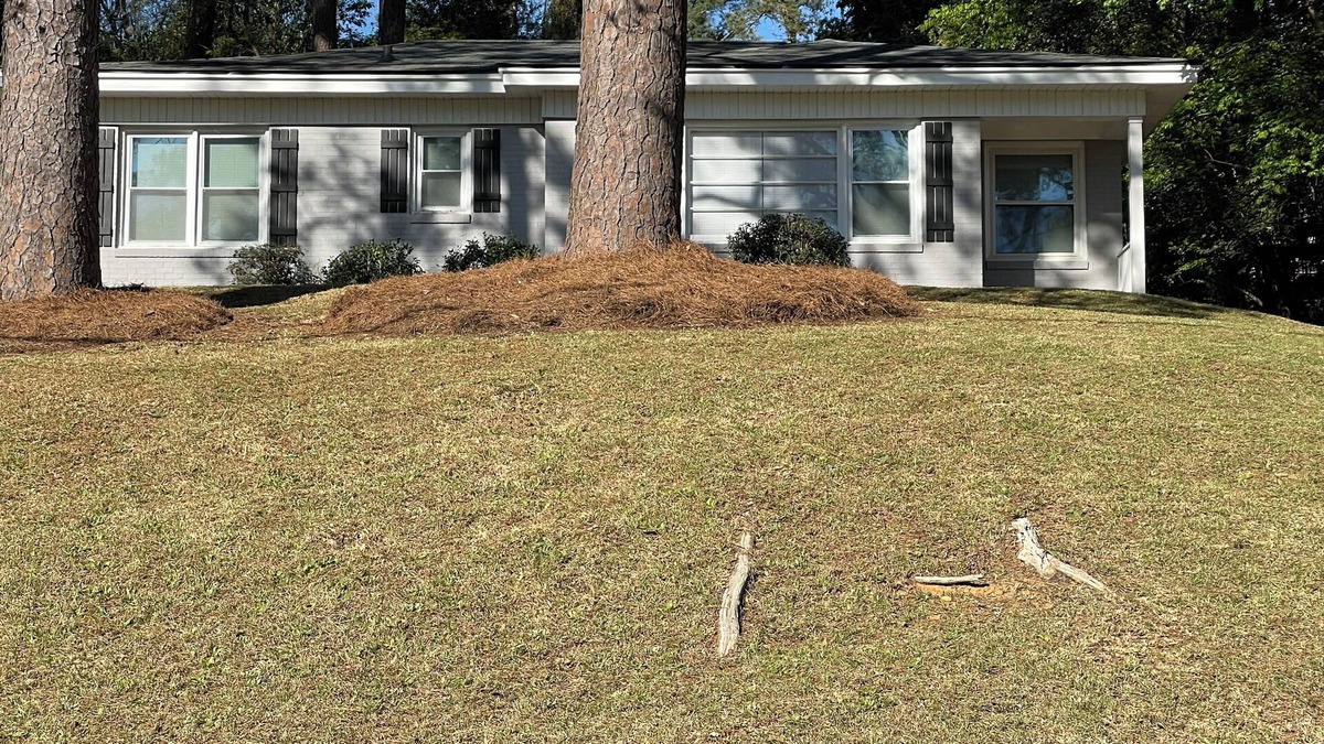 Macon House | 3-bedroom house in delightful Macon with WiFi, AC