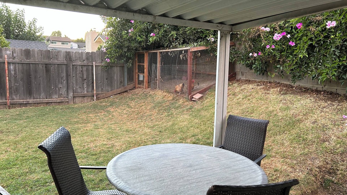 Ventura County House | 3-bedroom house in Santa Paula.nPrivate back yard BBQ's and park nearby.