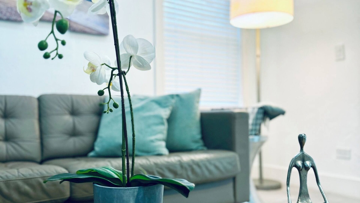 Biscayne Park Villa | 3-bedroom Lovely and Modern Miami Pool Home near to beach.
