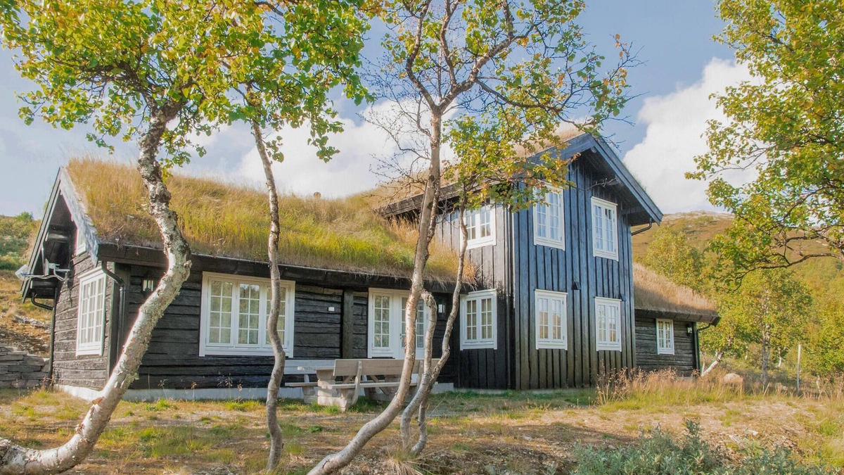 Oppdal House | 3 bedroom nice home in Oppdal