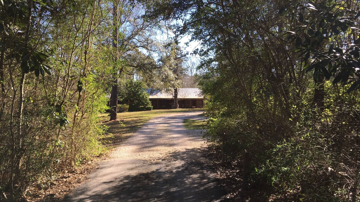 Kountze Cabin | 3 Cabins- Private, comfortable, decorated with antiques, AC & Heat, Breakfast