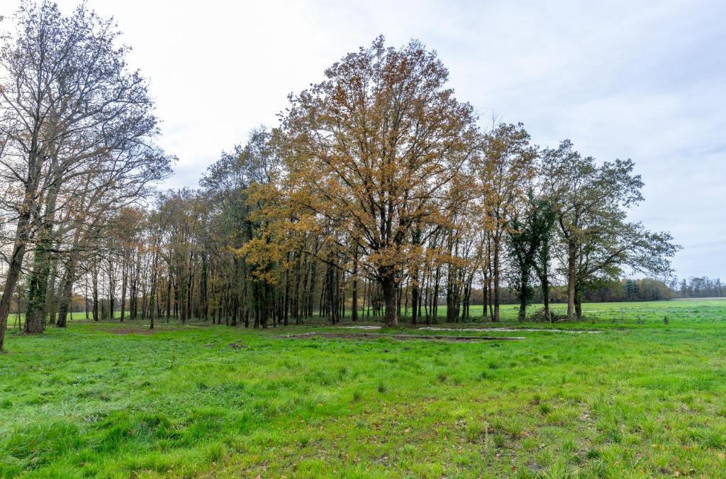 Chemery House | 3 ch, 2 salle de bain, 20 min Beauval et Chambord