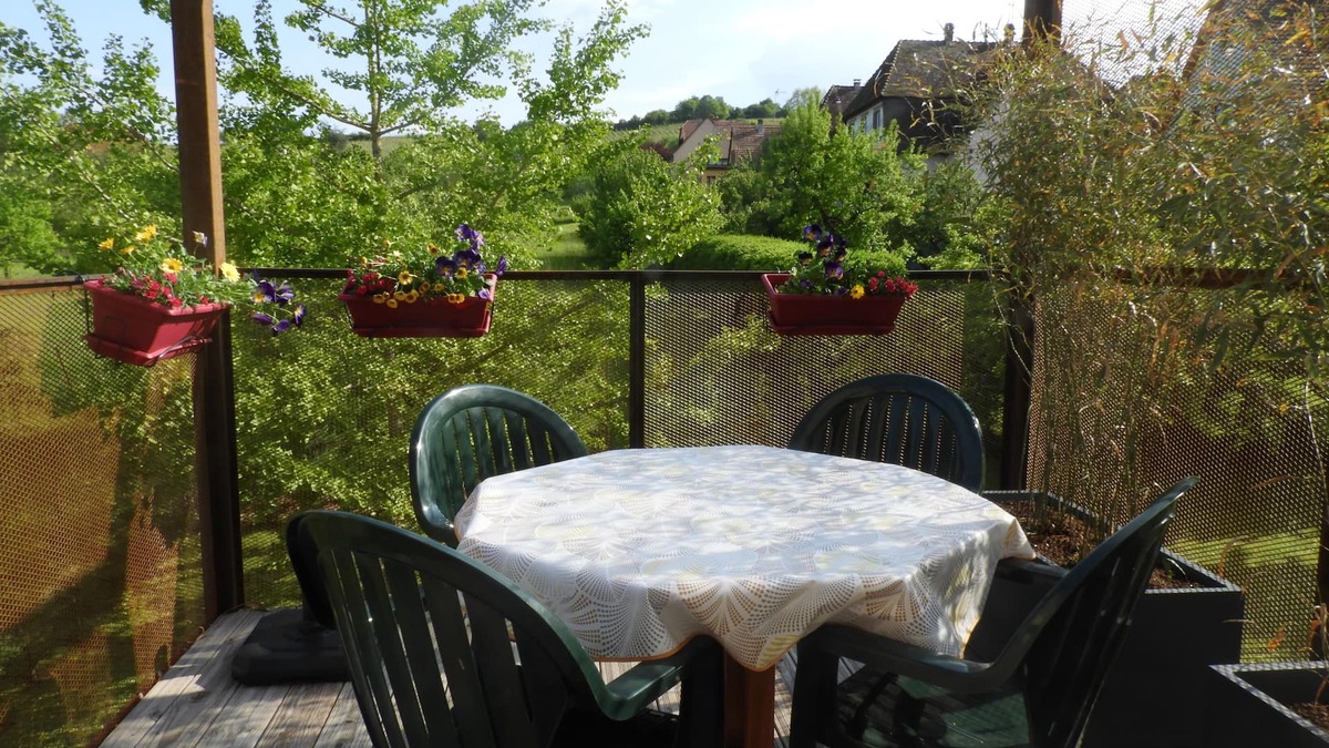 Barr Apartment | 3 * cottage with terrace suspended in the heart of the vineyards