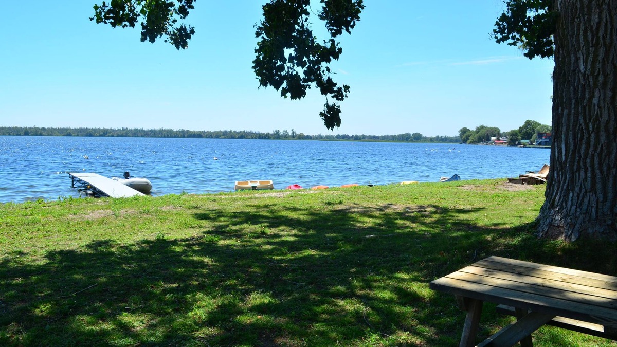 Brighton Cottage | #3 Family and pet friendly - monthly/seasonal rental