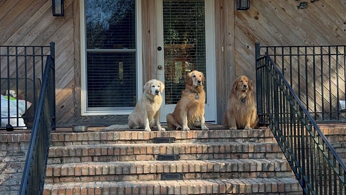 Letohatchee Other | "3 Goldens"- A Spacious farmhouse with beautiful 10 acre lake in Hope Hull, Al