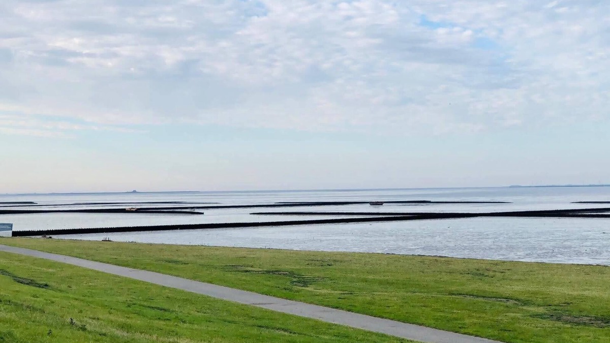 Neugalmsbull Apartment | 3 km from the Wadden Sea, pets ok, friendly.