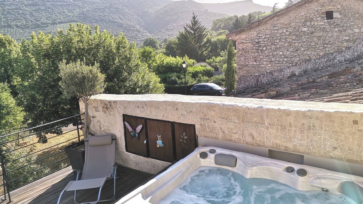 Malaucene House | 3* listed house Grand spa- Views- Gorges du Toulourenc in authentic Provence