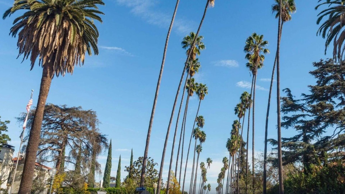 Pico-Union Apartment | 3 mi Downtown LA or Stadium. Parking + W/D