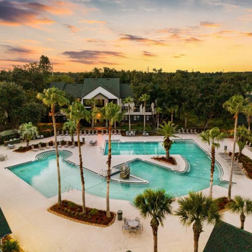Bearss Plaza Apartment | 3 MI to USF Pool GYM & Pet Friendly