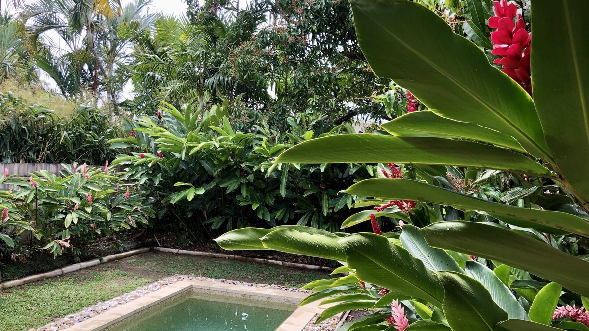 Palm Cove House | 3 minute walk to the beach and cafes!