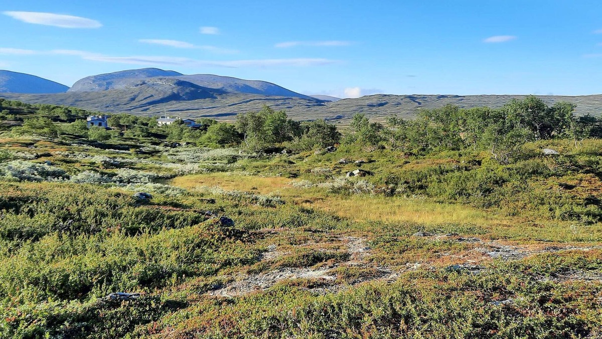 Svenstavik House | 3 person holiday home in Svenstavik