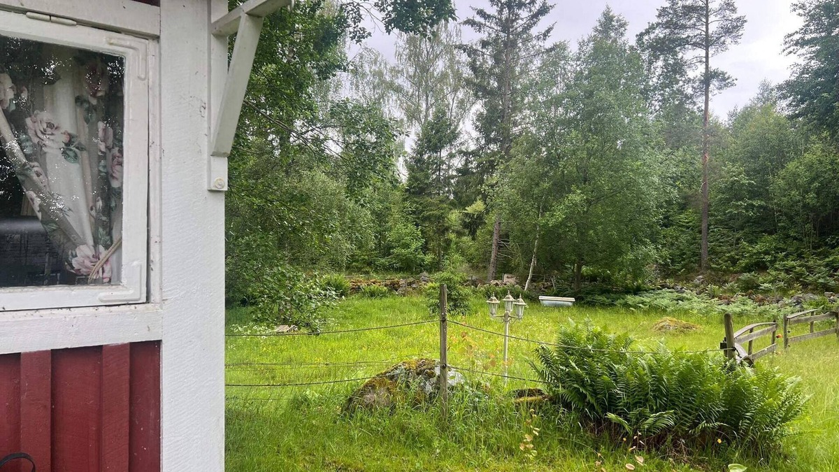 Tingsryd House | 3 person holiday home in TINGSRYD