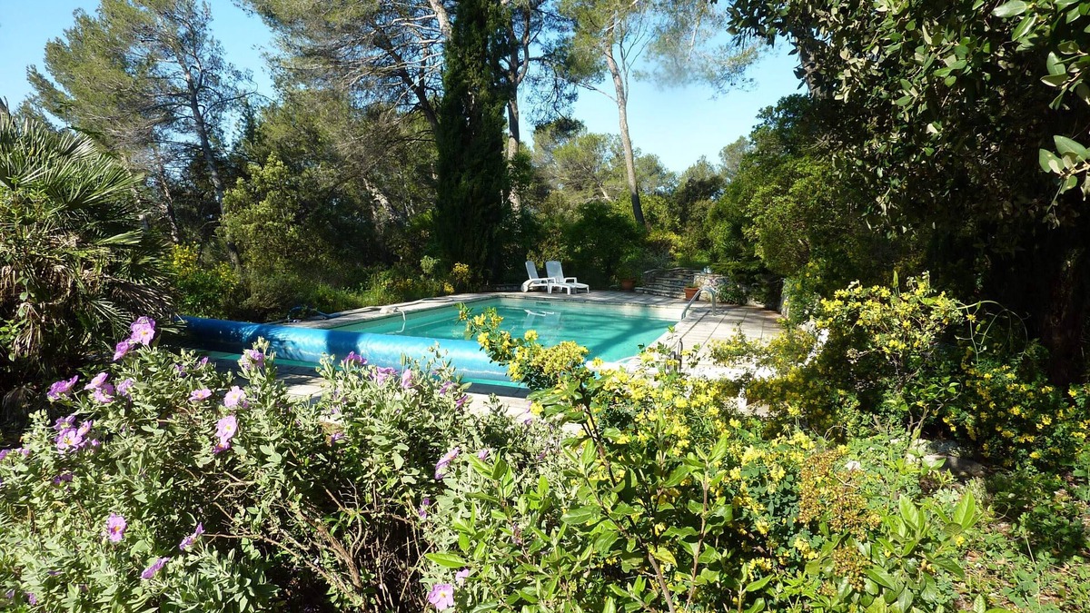 Assas Cottage | 3-room house in the woods in Assas with swimming pool