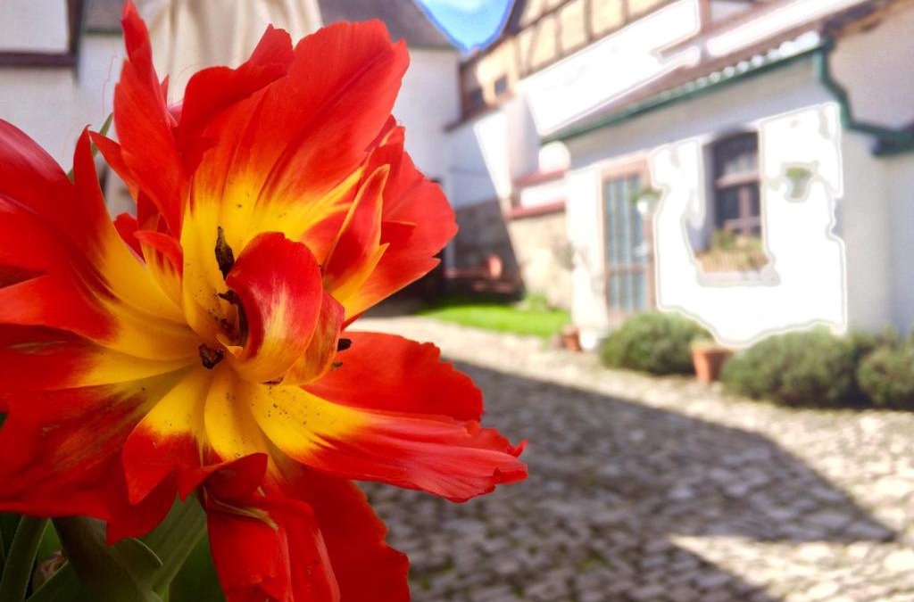 Zwatzen Apartment | 3 Seiten Ferienwohnung