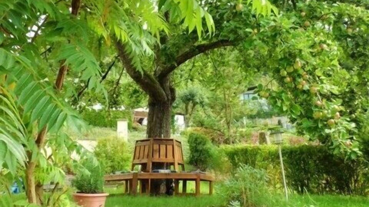Bischoffen House | 3-star holiday home with large garden and hiking trails in a rural idyll
