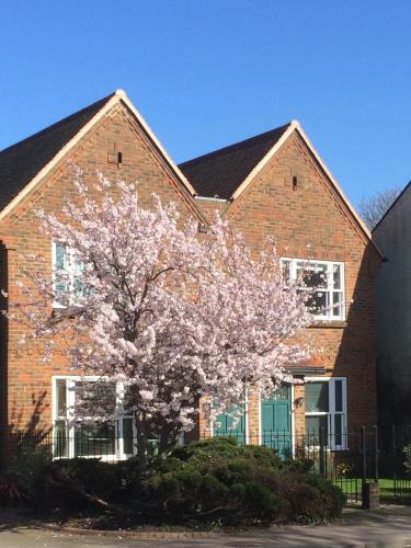 Summertown Apartment | 3 Summertown Court