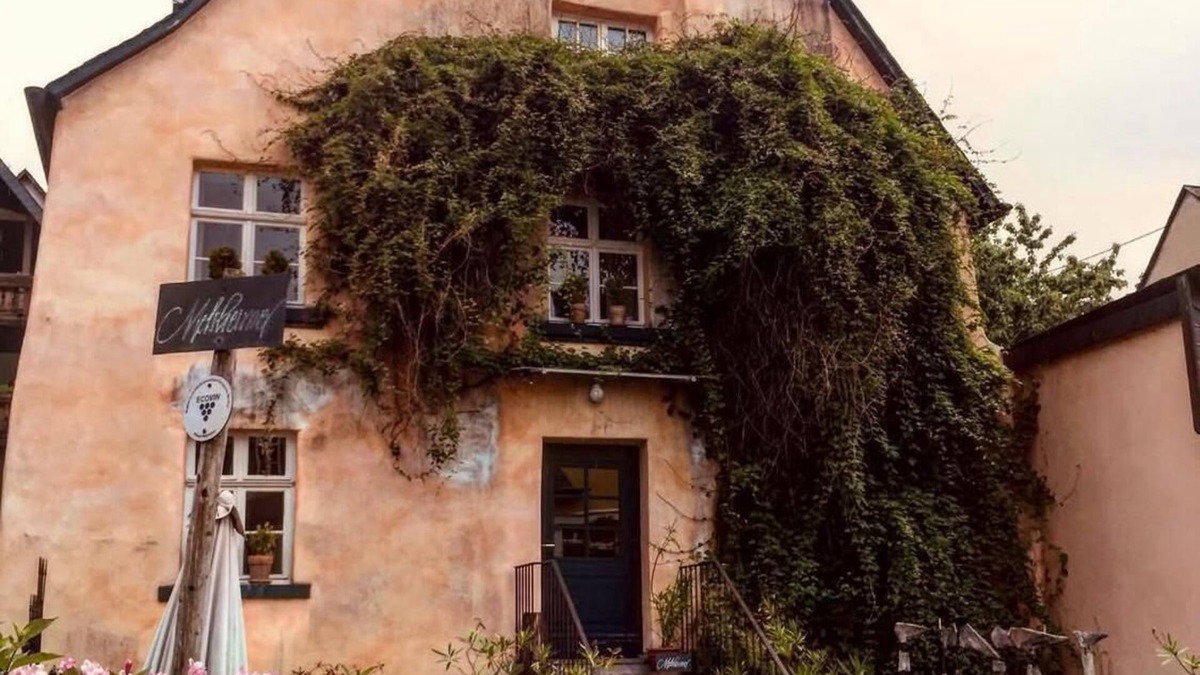 Reil Other | 300 Jahre altes Ferienhaus am Bio-Weingut an der Mosel