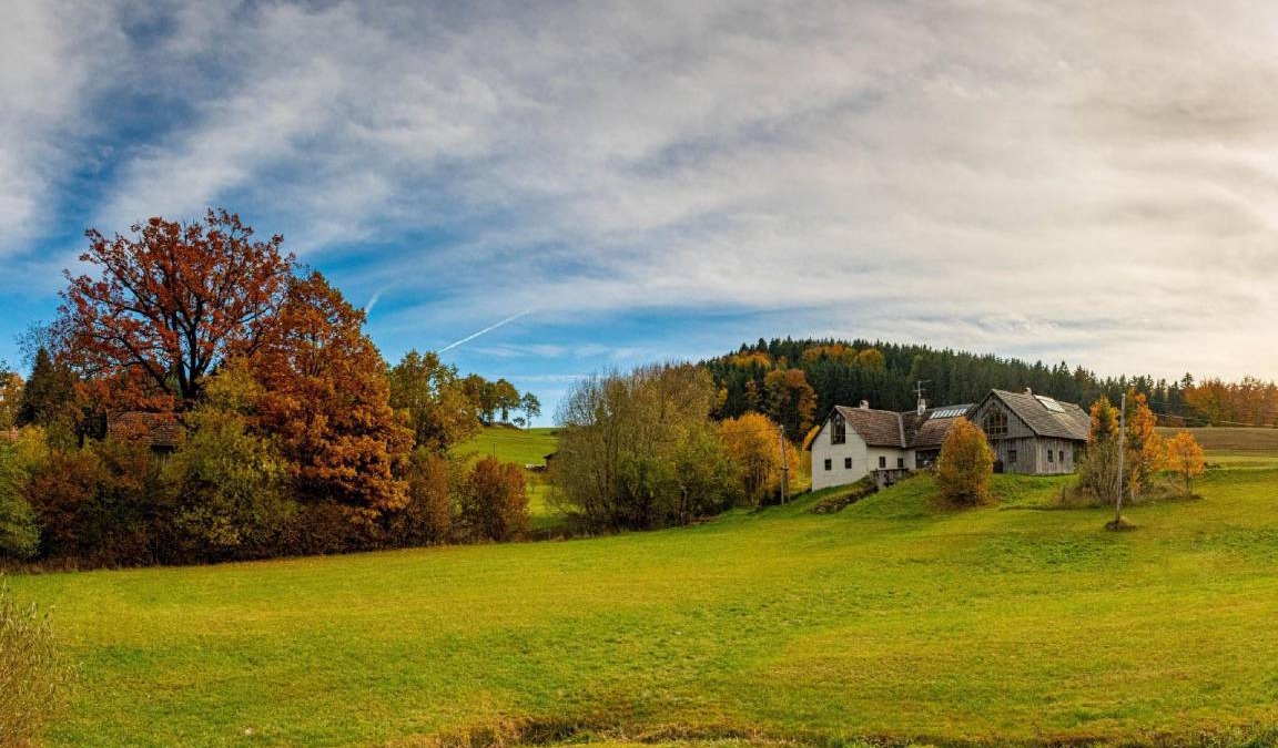 Zwettl House | 300 m² House ∙ 3 bedrooms ∙ 10 guests