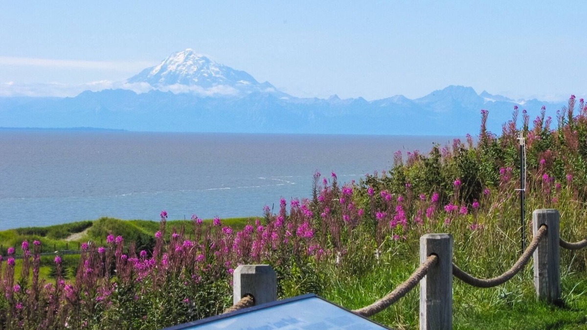 Kenai Apartment | 308 Bear Unit - Minutes from downtown Kenai just two blocks from the beach!