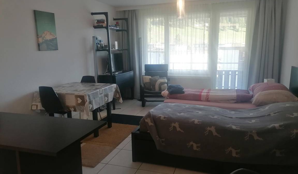 Davos-Platz Apartment | 33 m² Apartment ∙ 1 bedroom ∙ 2 guests