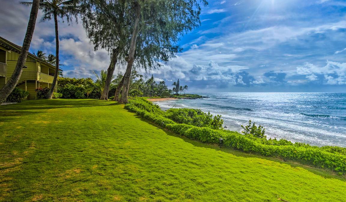 Wailua Condo | 34 m² Condo ∙ 2 guests