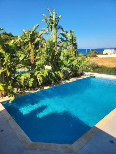 Palaia Fokaia Villa | 370 m² Villa ∙ 4 bedrooms ∙ 12 guests