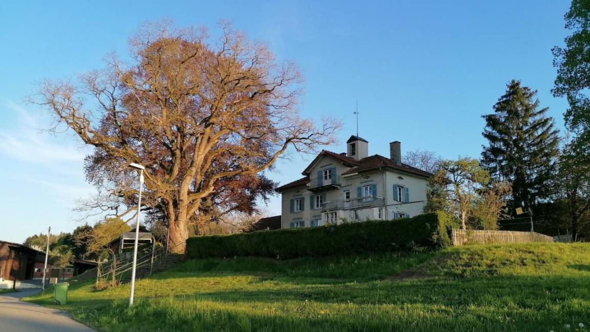 Bottighofen Apartment | 38 m² Apartment ∙ 1 bedroom ∙ 2 guests