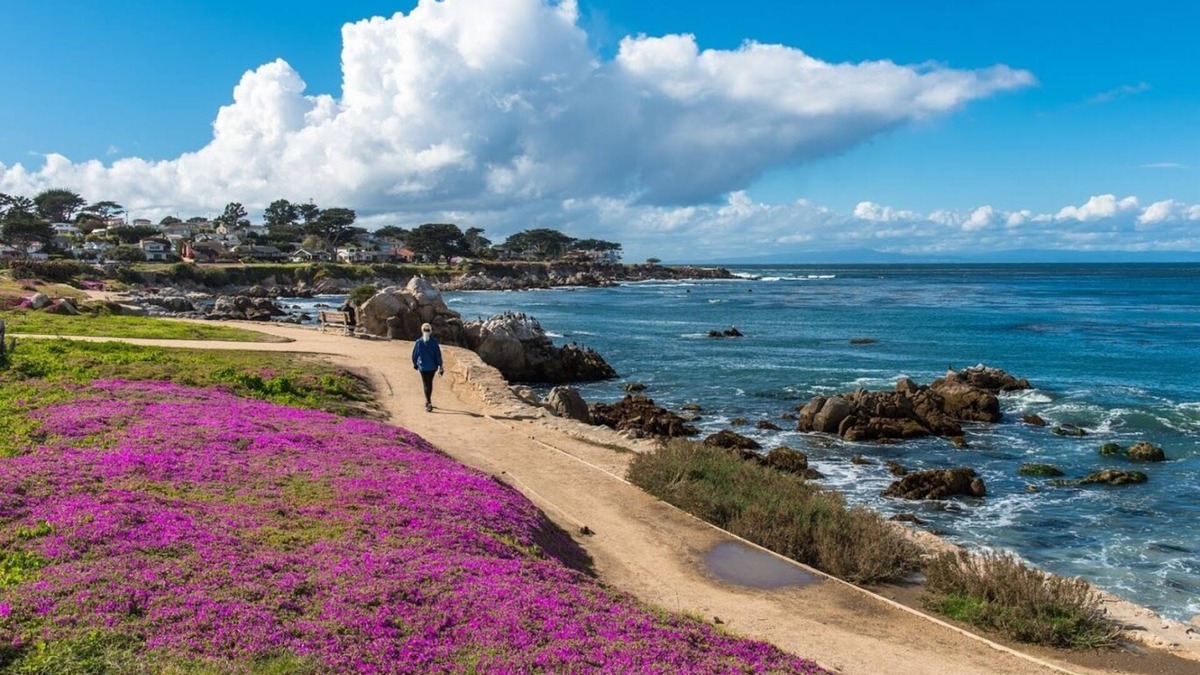 Pacific Grove House | 3812 Little House - Nightly Rental, Historic Home, Just Steps to Coast Trail