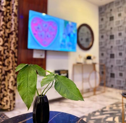 Gurugram Apartment | 3BHK apartment with the terrace