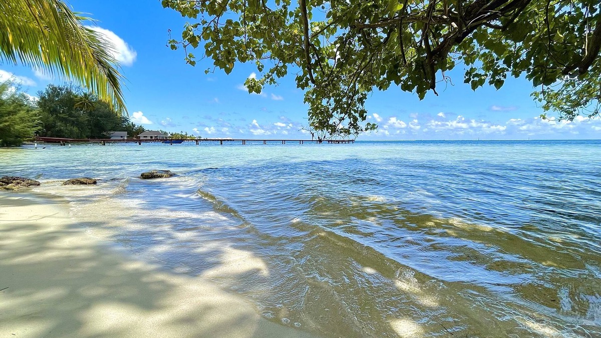 Maharepa Villa | 3BR 3BA private beach Villa w/kayaks +1-acre-tropical garden