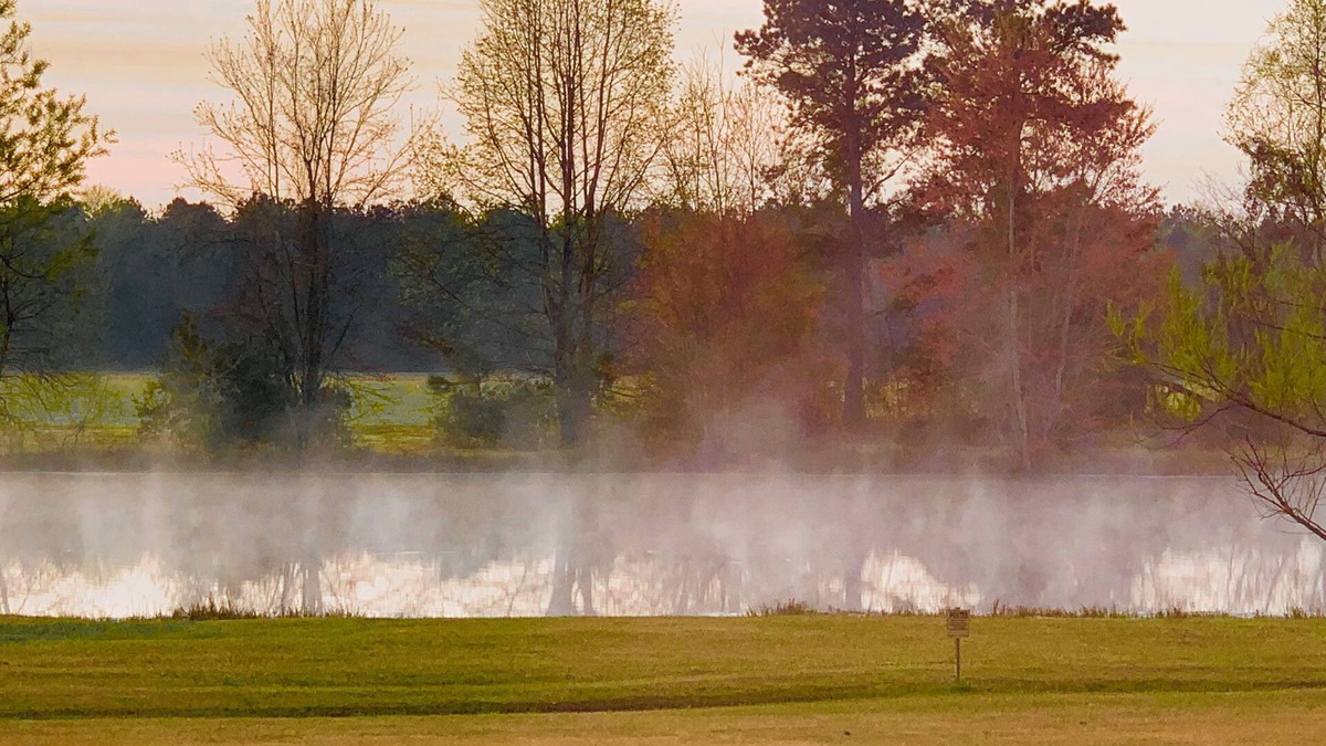 Orangeburg House | 3BR House & Pond. Private Quiet Area 2 Miles to Dining & Shops. 5 Miles to City.
