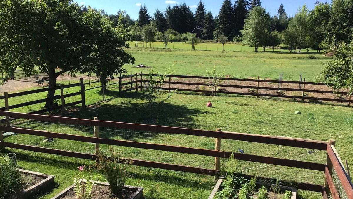 Toledo Apartment | 3G Farms studio Gateway to Mount St. Helens & Cowlitz River