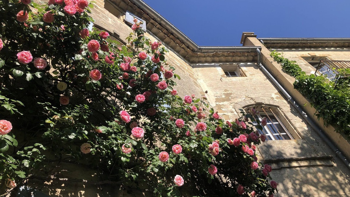 Montaren-et-Saint-Mediers Apartment | 3kms from Uzès in 17th century residence, lovely 3-room apartment with poetic garden