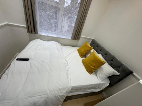 Downham House | 3rd Studio Flat With Private Toilet and Bathroom Setup For Family Enjoyment 134 Keedonwood Road Bromley
