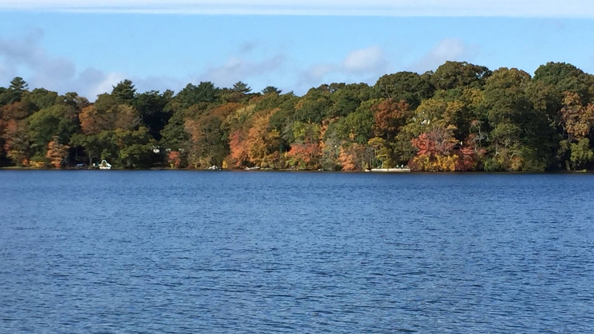 Cedar Bushes House | 4+ Acre Pond Front Retreat, Basketball Court