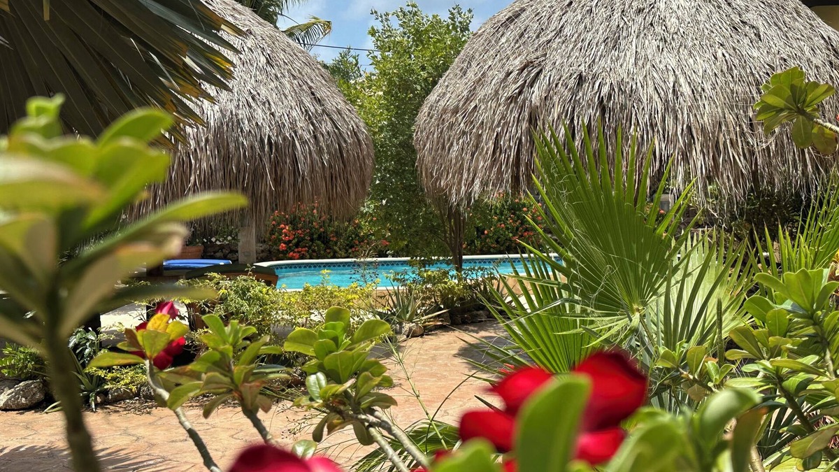 Opal House | 4 Bed Luxury Villa , Private Pool, Short Walk To Ritz And Marriott Beach !