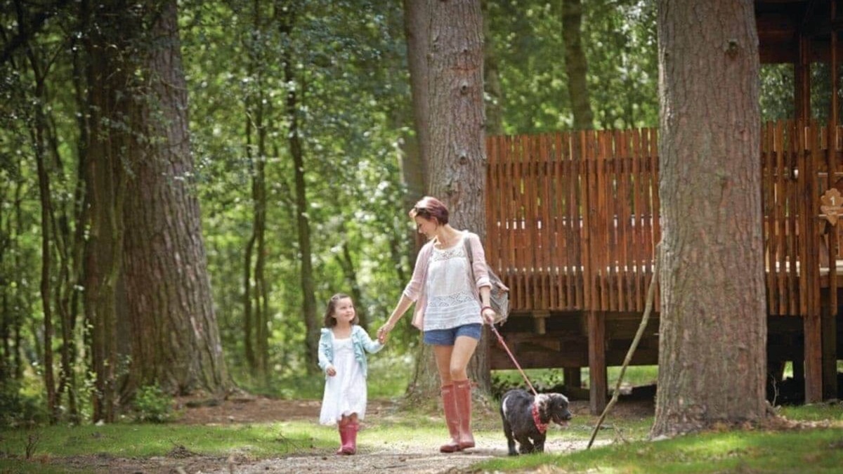 Pickering Cabin | 4 bedroom accommodation in Nr Pickering