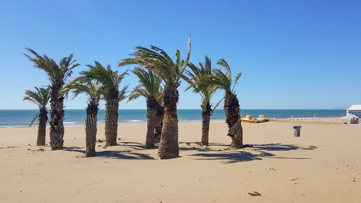 Argeliers House | 4 bedroom accommodation in Argeliers