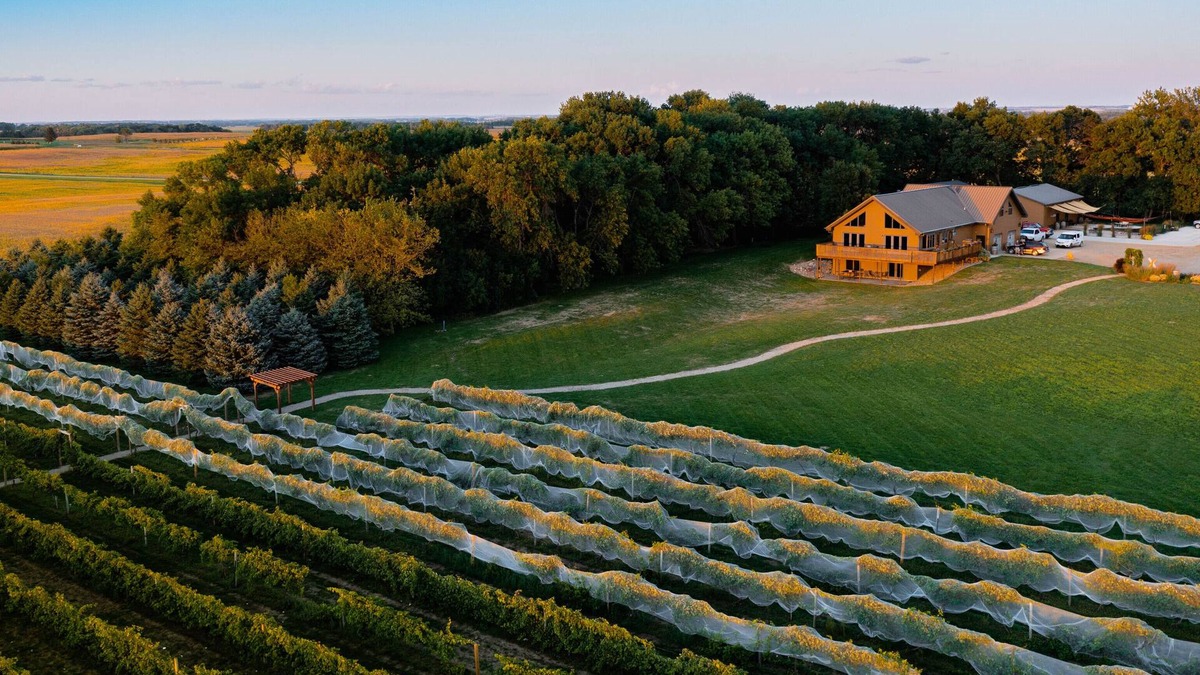 Rutland House | 4 bedroom vineyard home near Brookings, SD