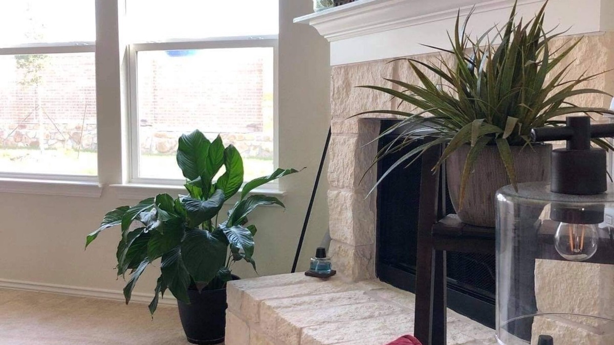 Aubrey House | 4 Bedrooms/2Bath Extremely clean Home Two Years old