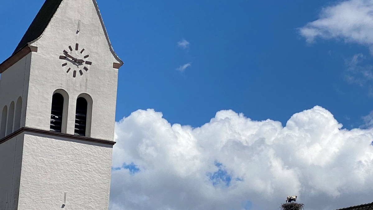 Katzenthal Apartment | 4*charm,near Colmar, Eguisheim,Riquewihr,wine route, garden, enclosed parking lot