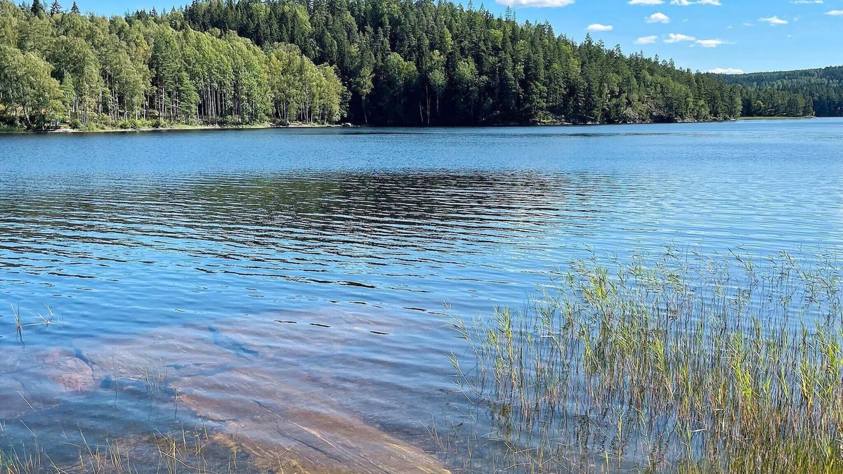 Dals-Ed Municipality House | 4 person holiday home in BENGTSFORS