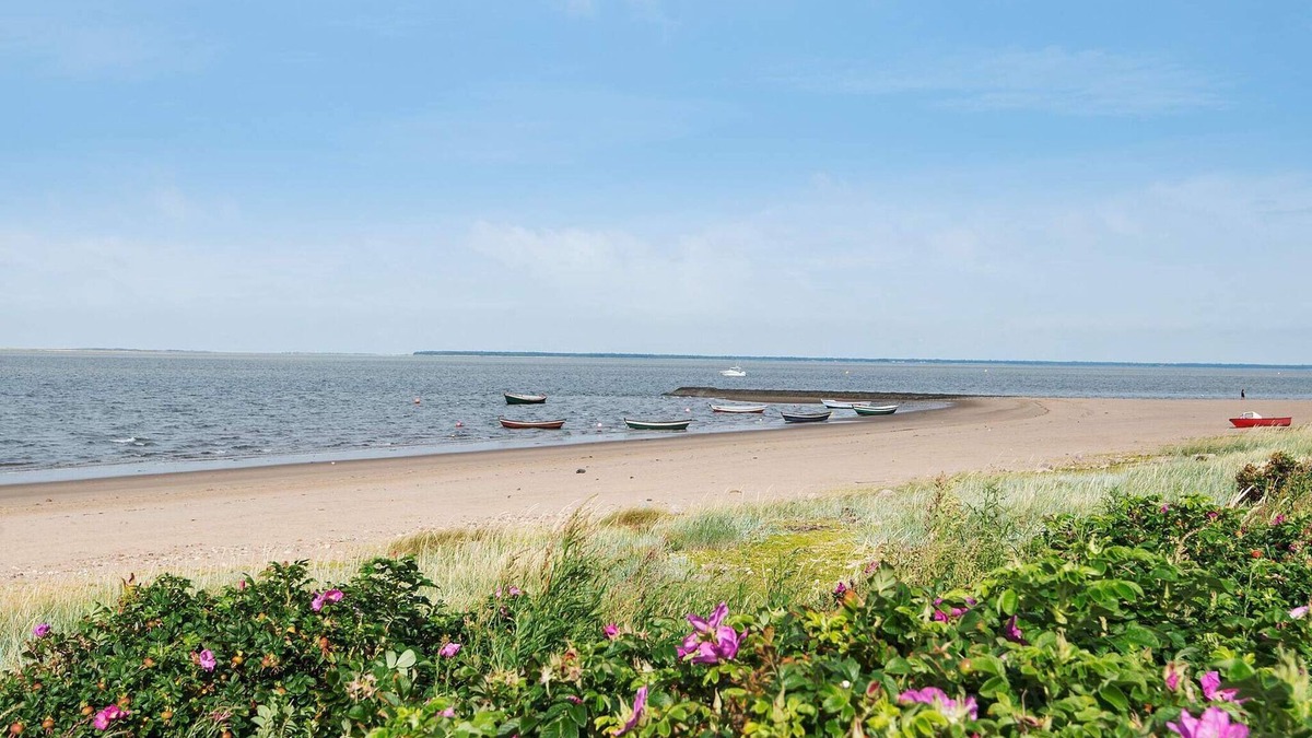Hjerting House | 4 person holiday home in Esbjerg V