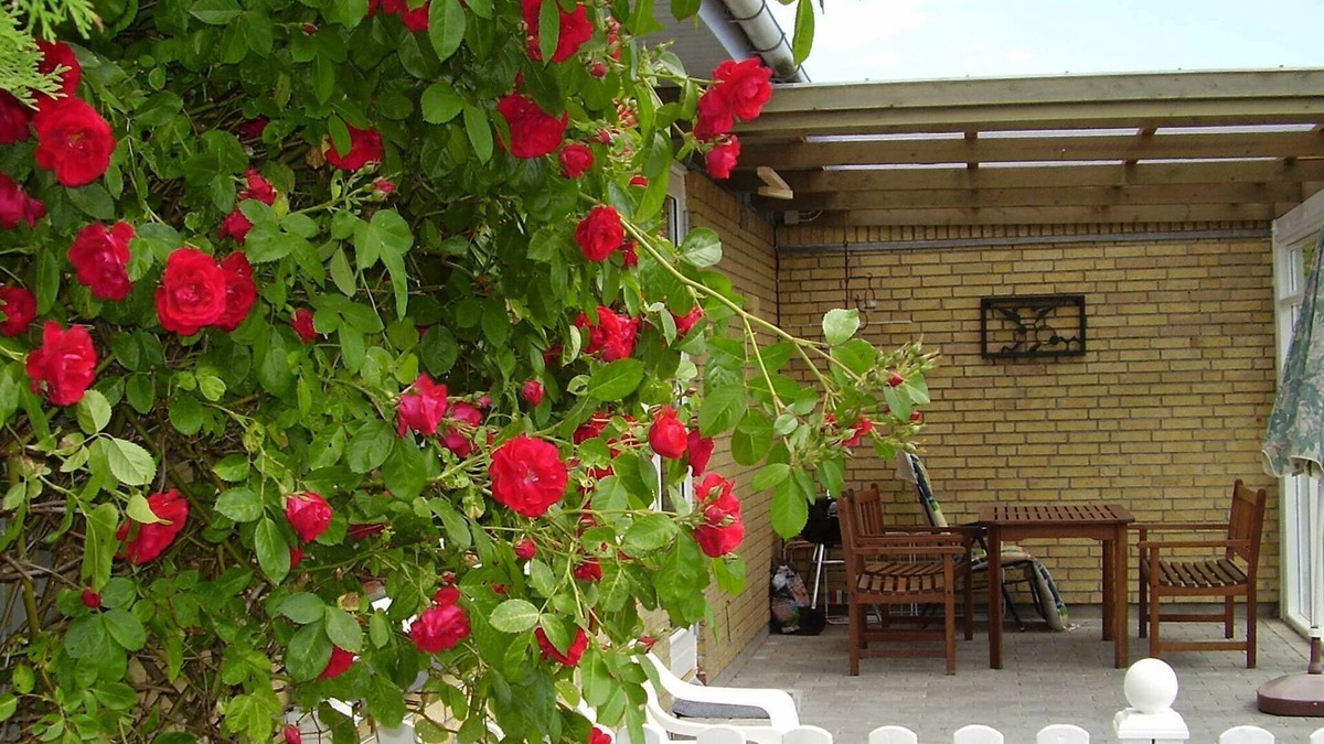 Dannemare House | 4 person holiday home in Dannemare