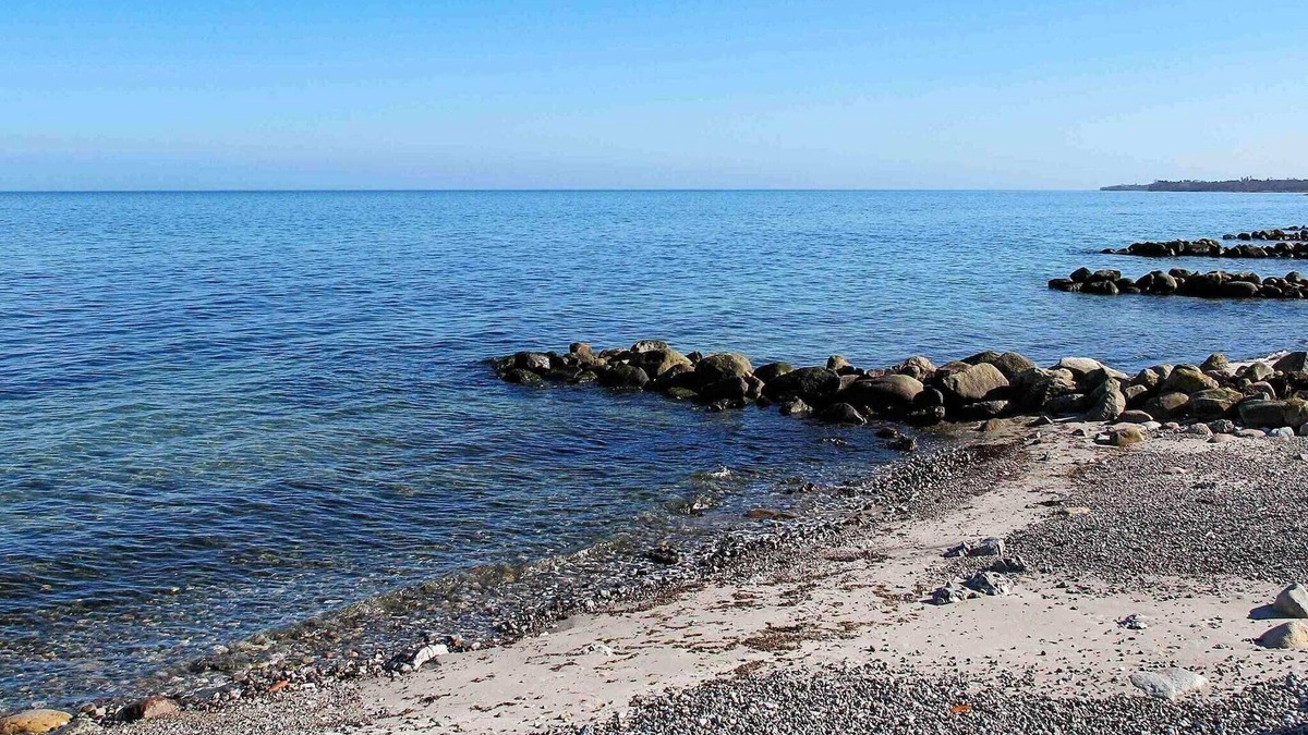Strøby Ladeplads House | 4 person holiday home in Strøby