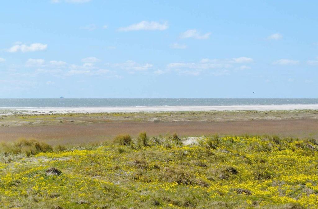 Rindby Strand Apartment | 4 person holiday home in Fan