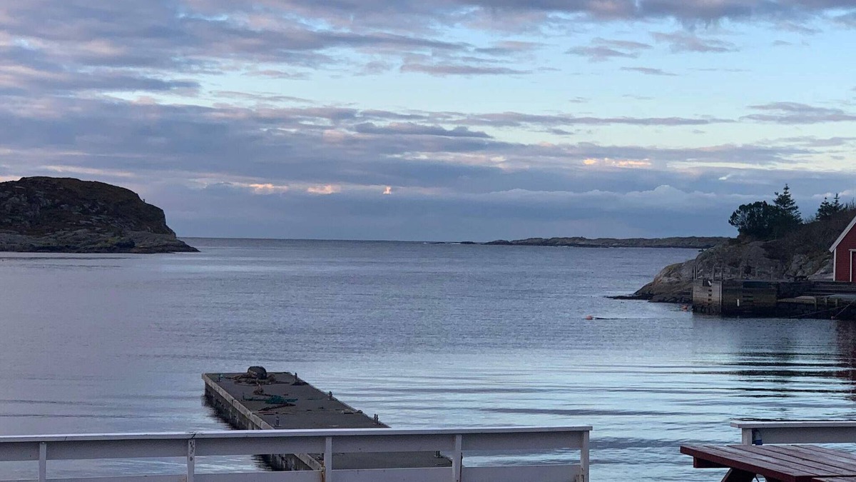Nautnes Apartment | 4 person holiday home in Tjeldstø